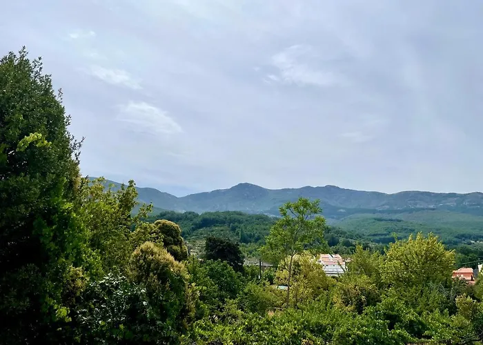 La Peatonal דירה *